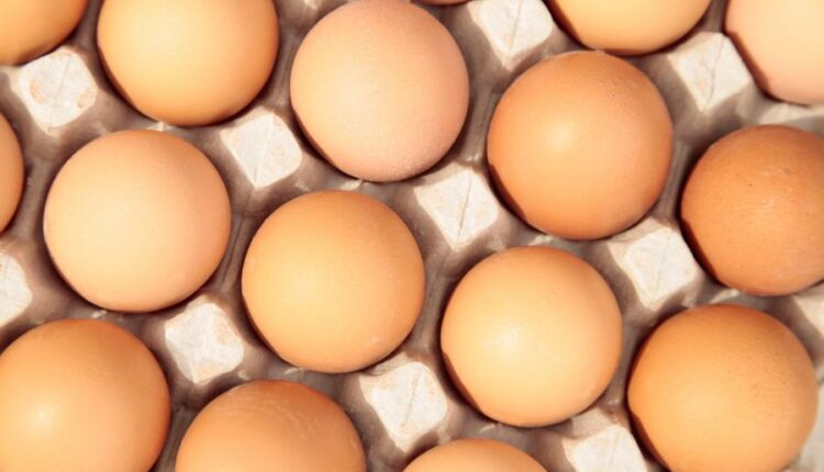 عکس استوک تخم مرغ   Eggs 15 UHQ JPEG