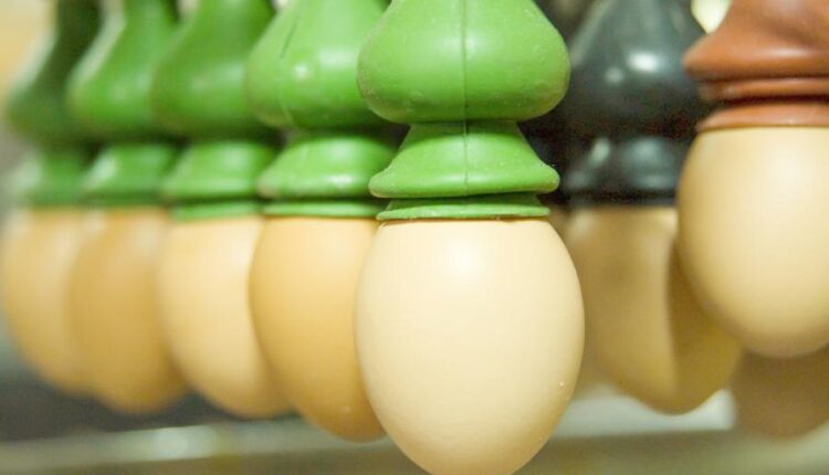 عکس استوک تخم مرغ   Eggs 15 UHQ JPEG