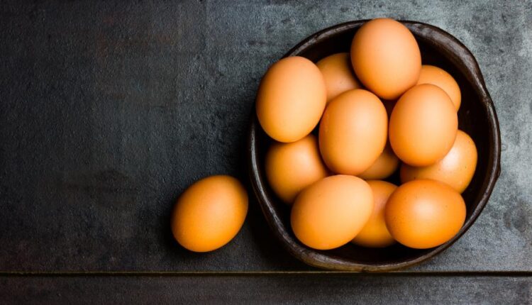 عکس استوک تخم مرغ   Eggs 15 UHQ JPEG