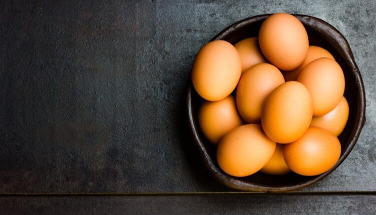 عکس استوک تخم مرغ   Eggs 15 UHQ JPEG