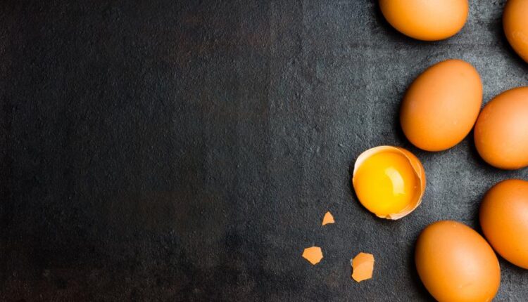 عکس استوک تخم مرغ   Eggs 15 UHQ JPEG