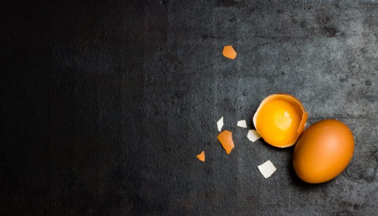 عکس استوک تخم مرغ   Eggs 15 UHQ JPEG