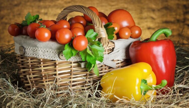 عکس استوک غذای رژیمی   Сoncept of a balanced diet