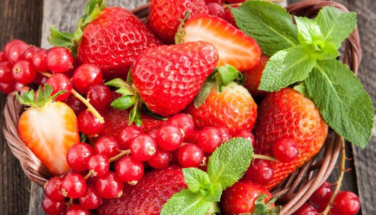 10 عکس استوک سالاد میوه   Fresh fruit salad