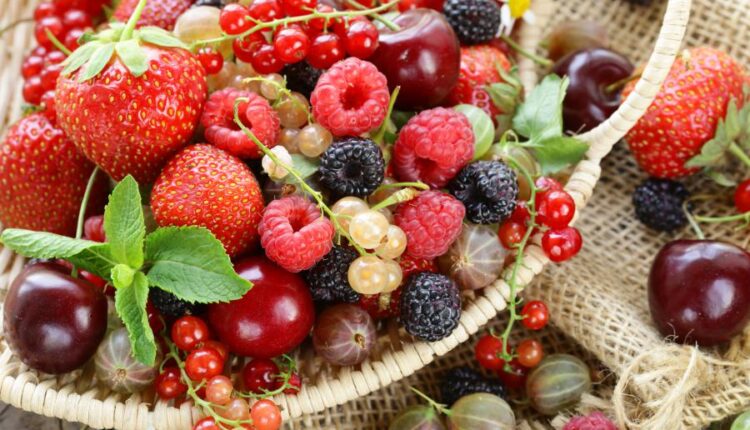 10 عکس استوک سالاد میوه   Fresh fruit salad