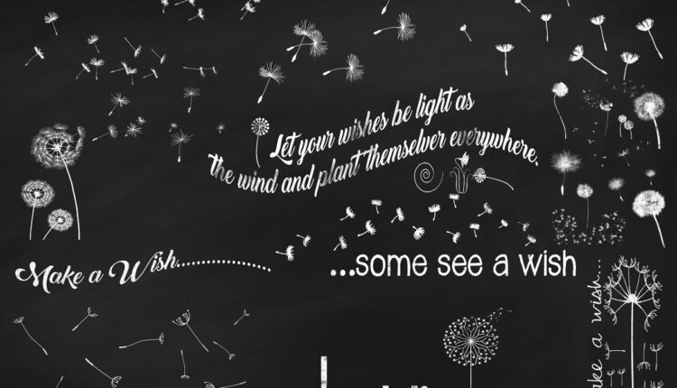 تصاویر PNG قاصدک گچی   Chalk Dandelions Overlays Clip Art