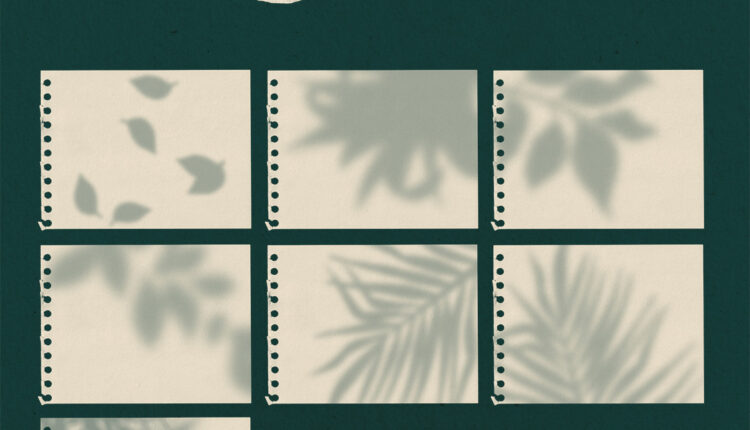 مجموعه پس زمینه و 87 براش Background Set   Procreate