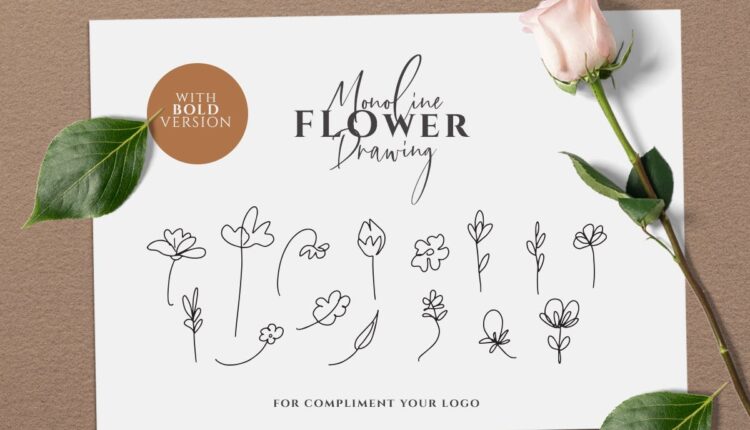 تصویرسازی گل های خطی و دستی – Monoline Flower Drawing