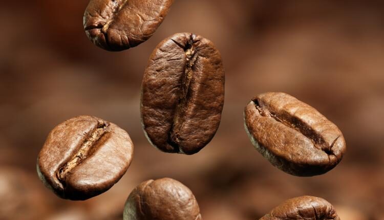 عکس استوک قهوه و دان قهوه –  Coffee Beans Photo