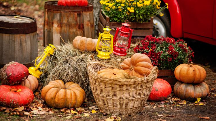 سری نود و چهارم والپیپر ویندوز – Beautiful Wallpapers