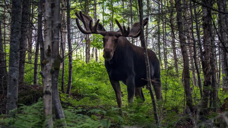 سری نود و چهارم والپیپر ویندوز – Beautiful Wallpapers