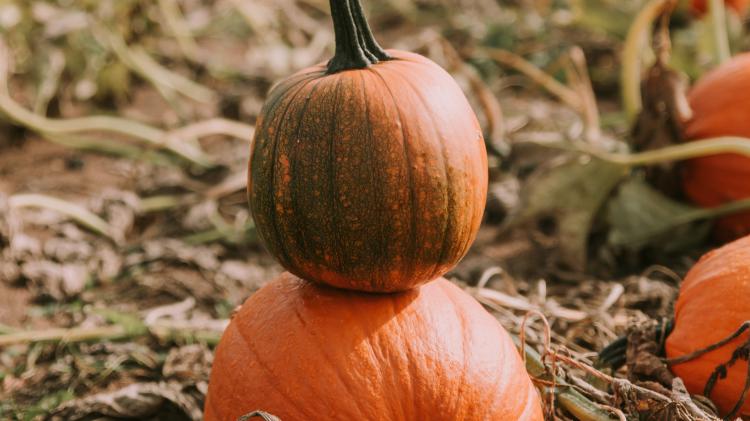 سری نود و چهارم والپیپر ویندوز – Beautiful Wallpapers