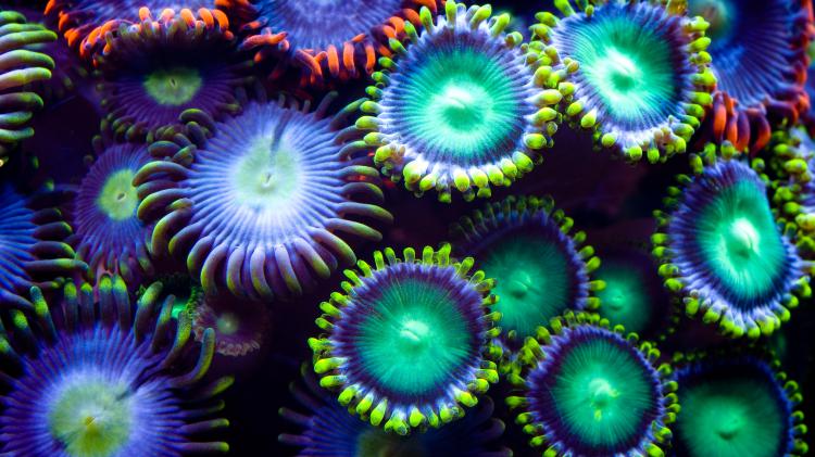 سری نود و ششم والپیپر برای ویندوز – Ultra HD Wallpaper