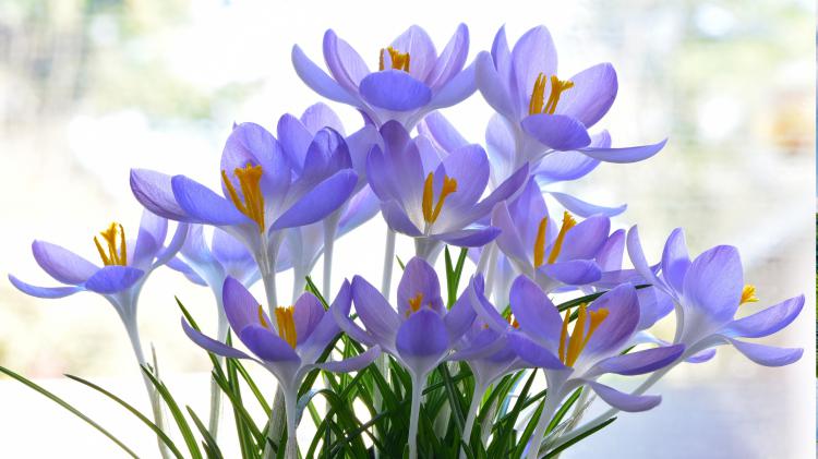 سری نود و ششم والپیپر برای ویندوز – Ultra HD Wallpaper