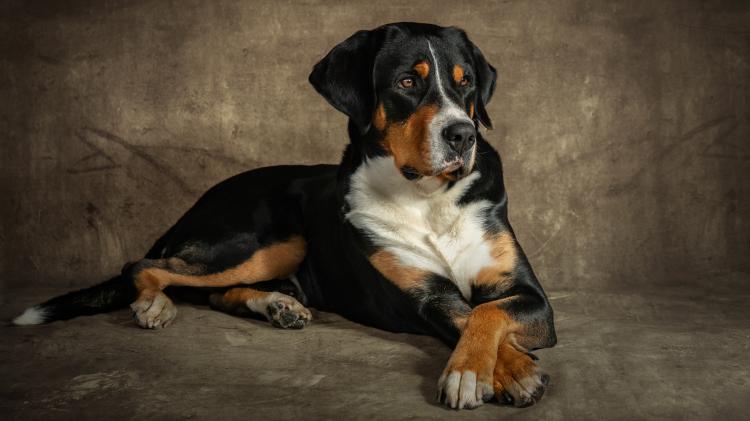 سری نود و ششم والپیپر برای ویندوز – Ultra HD Wallpaper