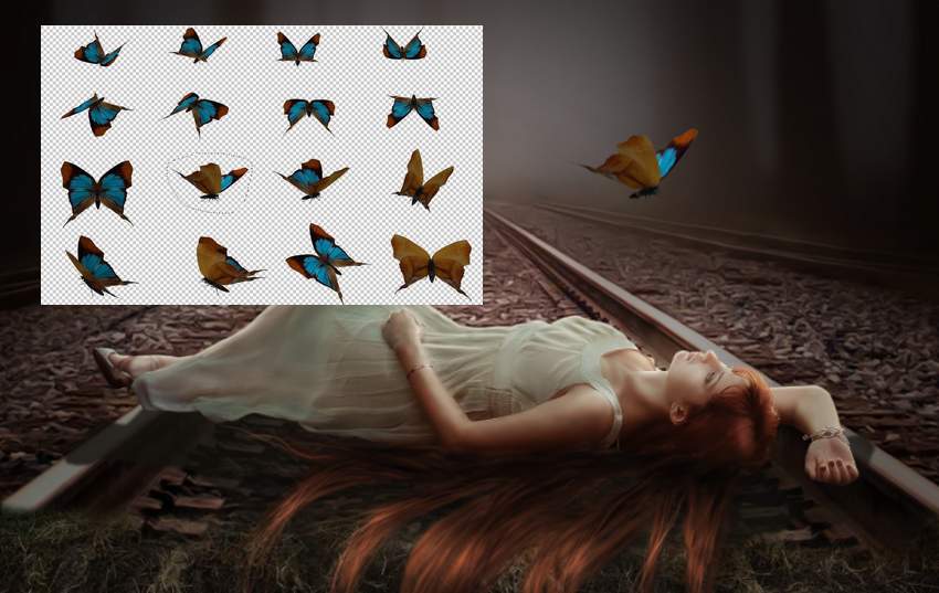 آموزش ساخت عکسی از یک پروانه جادویی در فتوشاپ پروانه جادویی