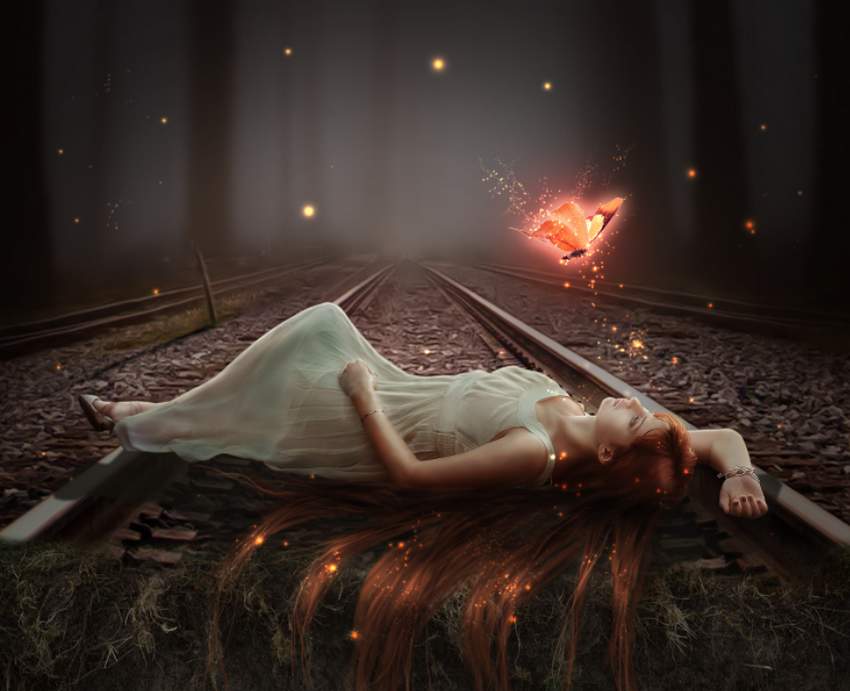 پروانه جادویی