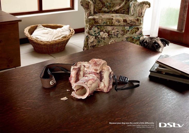 دوربین مداربسته