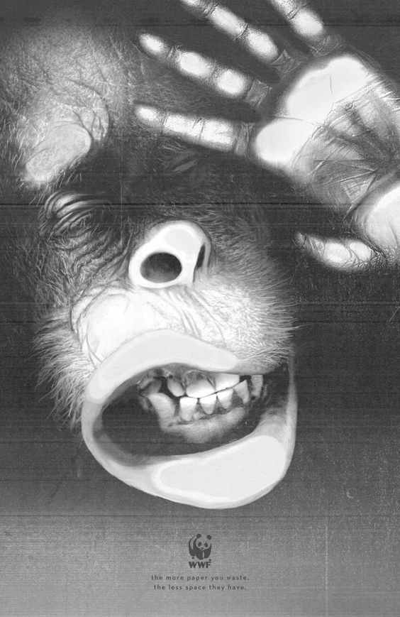 تبلیغ خلاقانه