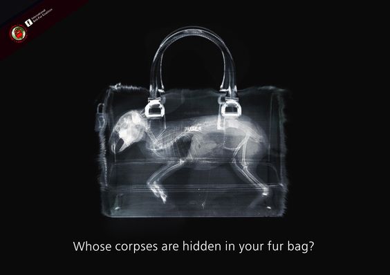 تبلیغ خلاقانه