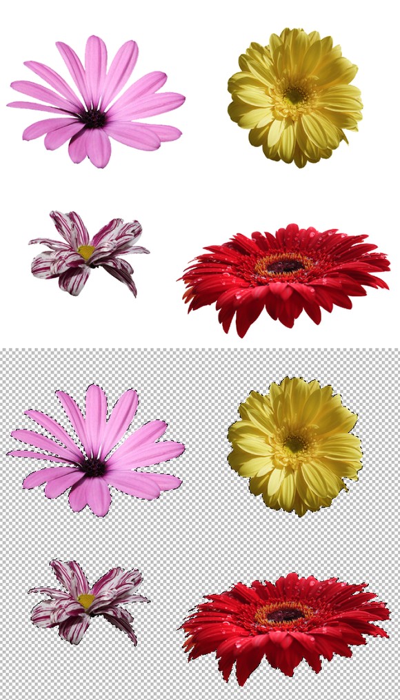 آموزش تایپوگرافی طرح گل در فتوشاپ 