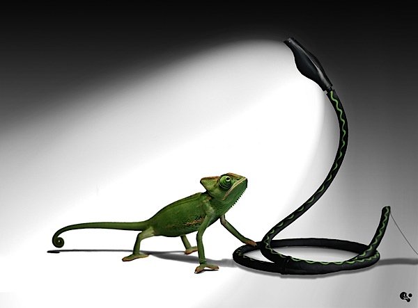 دستکاری تصویر Martin Grohs