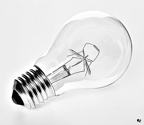 دستکاری تصویر Martin Grohs