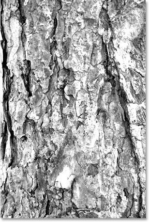 ایجاد یک قاب عکس