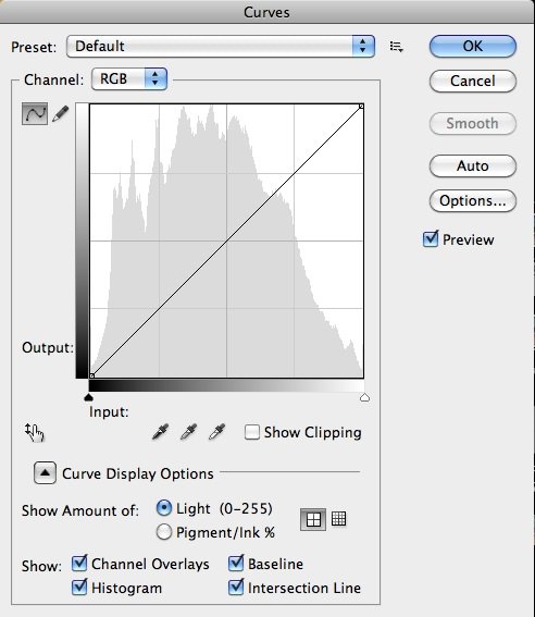 آموزش تغییر رنگ تصویر در فتوشاپ آموزش تغییر رنگ تصویر در فتوشاپ