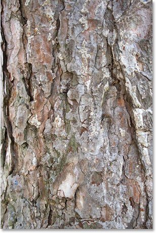 ایجاد یک قاب عکس