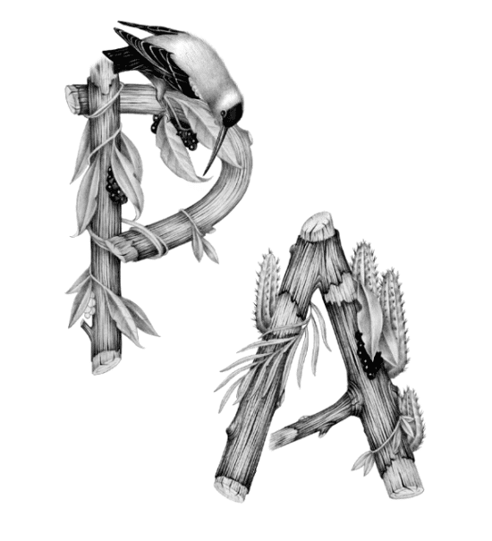 تایپو گرافی های خلاقانه