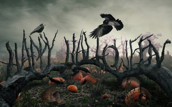 تایپوگرافی های خلاقانه